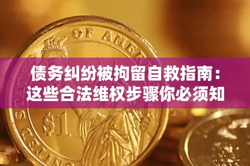 济南债务纠纷被拘留自救指南：这些合法维权步骤你必须知道！