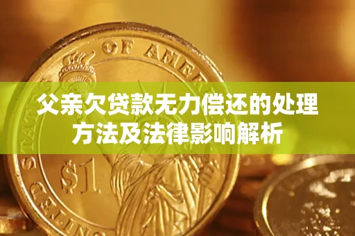 济南父亲欠贷款无力偿还的处理方法及法律影响解析